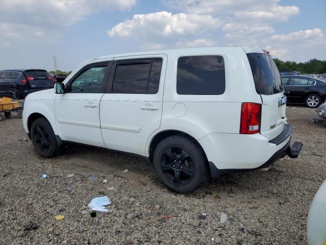 5FNYF3H54DB030838 - 2013 HONDA PILOT EXL თეთრი ფოტო 2