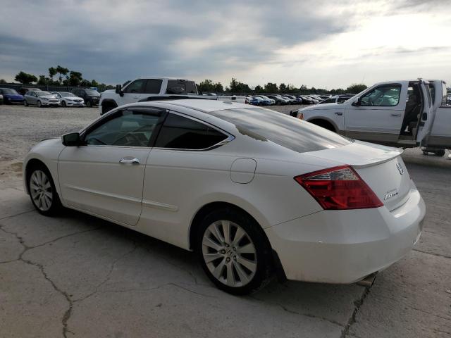 1HGCS22819A001219 - 2009 HONDA ACCORD EXL Ağ foto 2