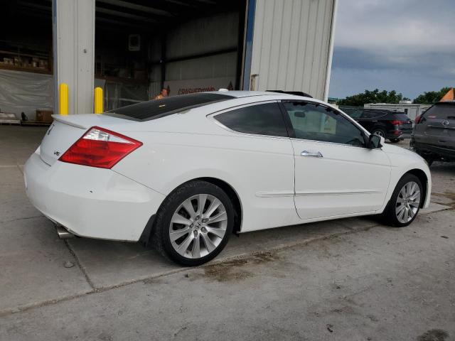 1HGCS22819A001219 - 2009 HONDA ACCORD EXL Ağ foto 3