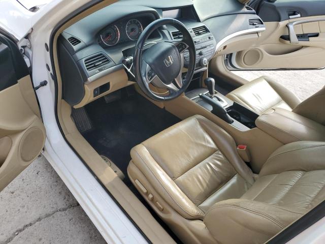 1HGCS22819A001219 - 2009 HONDA ACCORD EXL Ağ foto 8