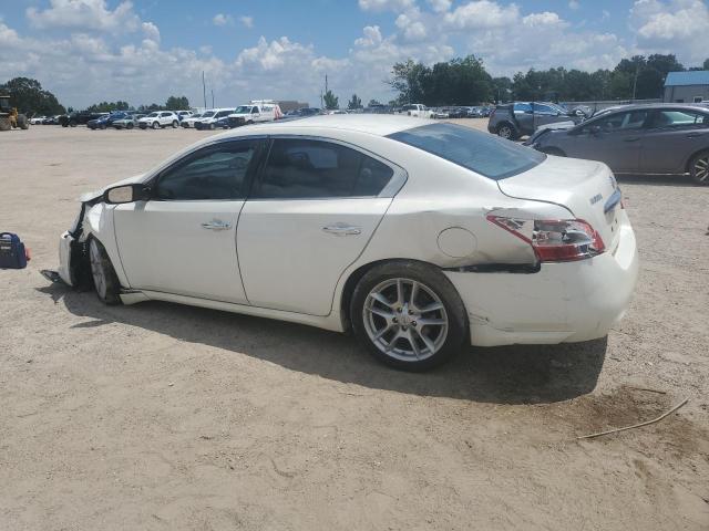 1N4AA5AP2AC834755 - 2010 NISSAN MAXIMA S WHITE photo 2