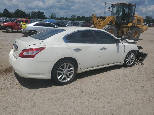 1N4AA5AP2AC834755 - 2010 NISSAN MAXIMA S WHITE photo 3