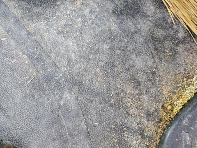 1FVACWDTXBDBA9034 - 2011 FREIGHTLINER M2 106 MEDIUM DUTY WHITE photo 5