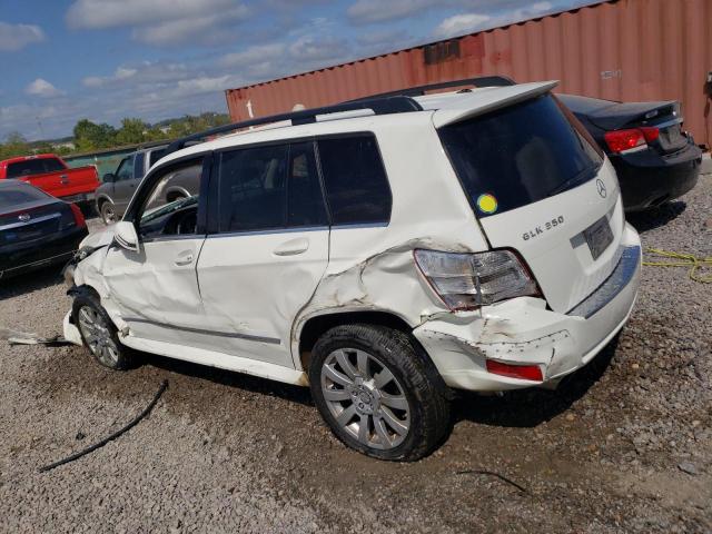 WDCGG8HBXAF325245 - 2010 MERCEDES-BENZ GLK 350 4MATIC WHITE photo 2