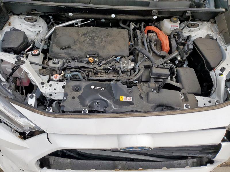 4T3LWRFV2PU108810 - 2023 TOYOTA RAV4 LE Weiß Foto 12