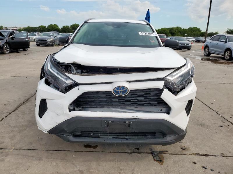 4T3LWRFV2PU108810 - 2023 TOYOTA RAV4 LE Weiß Foto 5