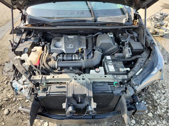 JTJDARDZ1M2238636 - 2021 LEXUS NX 300 BASE შავი ფოტო 12
