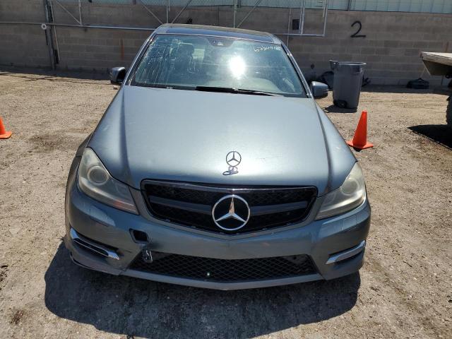 WDDGF8BB1CA725055 - 2012 MERCEDES-BENZ C 300 4MATIC GRAY photo 5