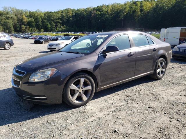 1G1ZC5EU9BF163942 - 2011 CHEVROLET MALIBU 1LT 灰色 照片 1