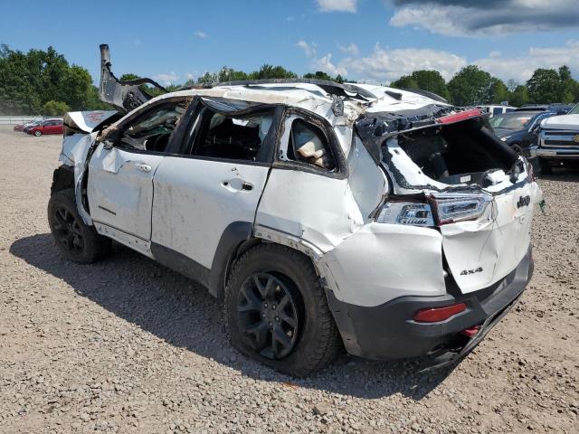 1C4PJMBS2HW632475 - 2017 JEEP CHEROKEE TRAILHAWK WHITE photo 2