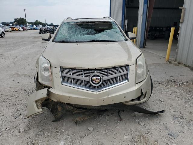 3GYFNBEY4AS561831 - 2010 CADILLAC SRX PERFORMANCE COLLECTION Brun photo 5