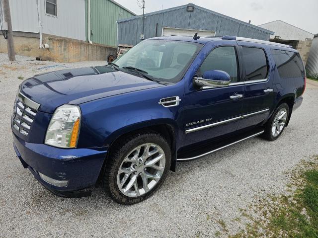 1GYS4HEF6CR188820 - 2012 CADILLAC ESCALADE ESV LUXURY 蓝色 照片 2