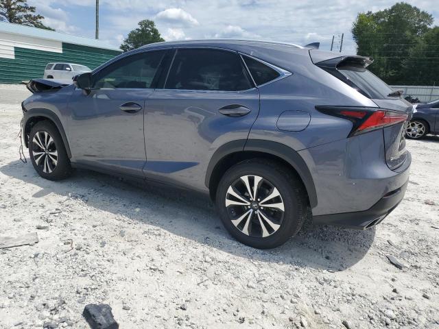 JTJSARDZ8M2237636 - 2021 LEXUS NX 300 BASE 灰色 照片 2