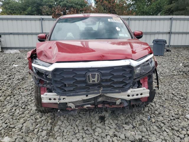 5FNYF8H50RB009554 - 2024 HONDA PASSPORT EXL Kırmızı fotoğraf 5