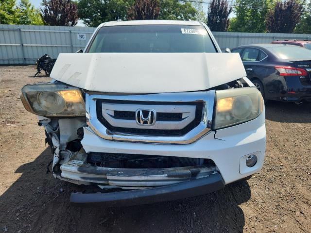5FNYF48619B044685 - 2009 HONDA PILOT EXL WHITE photo 5