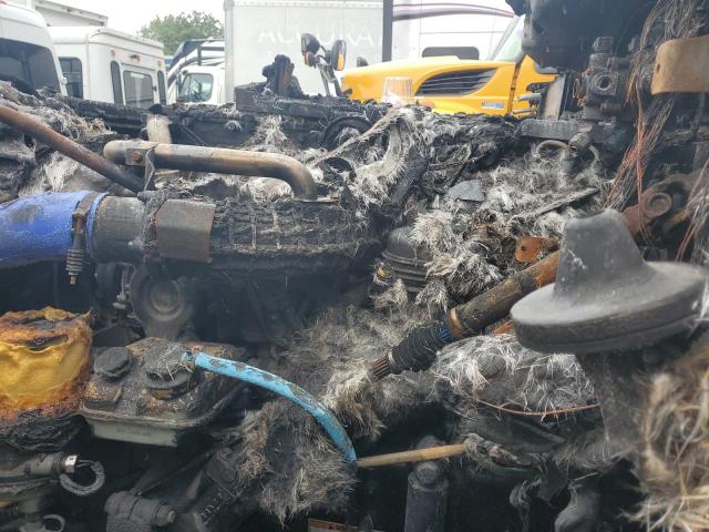 3AKJGEDR7LDMD5703 - 2020 FREIGHTLINER CASCADIA 1 白色 照片 7