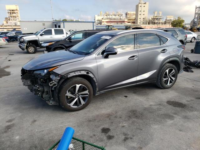 JTJGARBZ0M2203134 - 2021 LEXUS NX 300 BASE Մոխրագույն լուսանկար 1