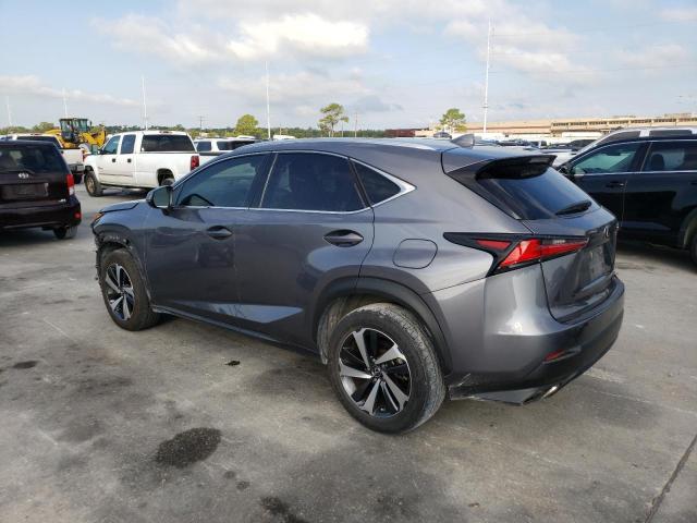 JTJGARBZ0M2203134 - 2021 LEXUS NX 300 BASE Մոխրագույն լուսանկար 2