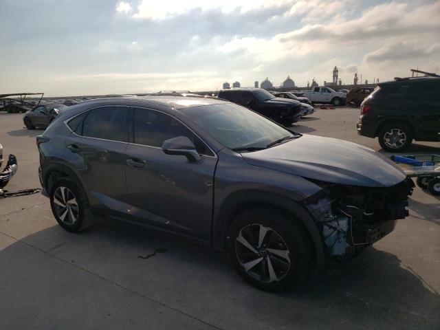 JTJGARBZ0M2203134 - 2021 LEXUS NX 300 BASE Մոխրագույն լուսանկար 4