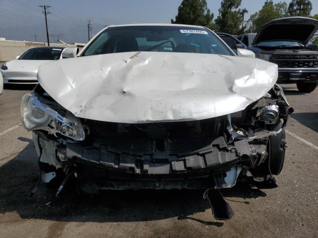 4T1BF1FK9HU647387 - 2017 TOYOTA CAMRY LE WHITE photo 5
