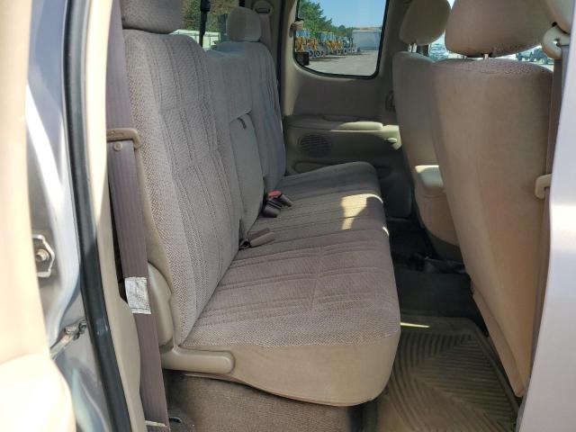 5TBBT44161S160675 - 2001 TOYOTA TUNDRA ACCESS CAB ნაცრისფერი ფოტო 10