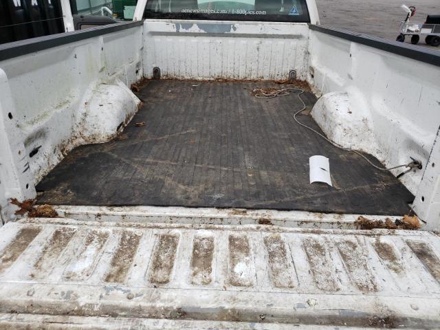 1FTMF1CW1AKE24962 - 2010 FORD F-150 WHITE photo 10