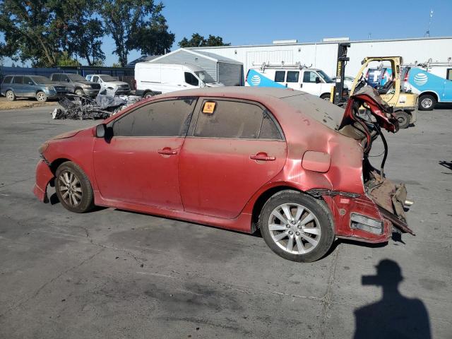 1NXBU4EE4AZ318329 - 2010 TOYOTA COROLLA BASE Qırmızı foto 2