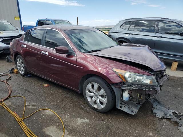 1HGCP36829A051595 - 2009 HONDA ACCORD EXL BURGUNDY photo 4