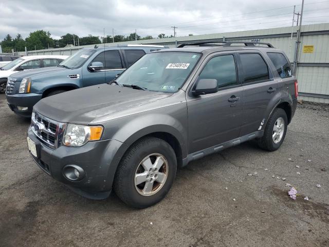 2011 FORD ESCAPE XLT, 