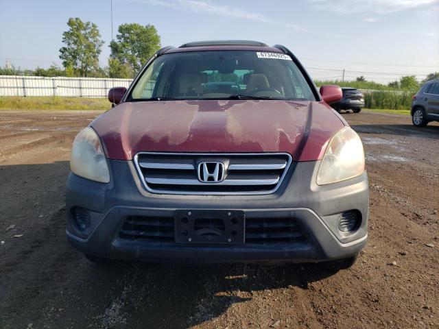 SHSRD78896U417571 - 2006 HONDA CR-V EX მუქწითელი ფოტო 5