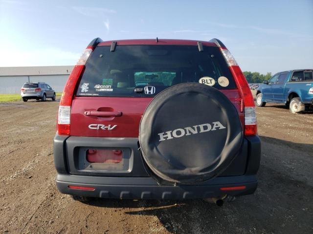 SHSRD78896U417571 - 2006 HONDA CR-V EX მუქწითელი ფოტო 6