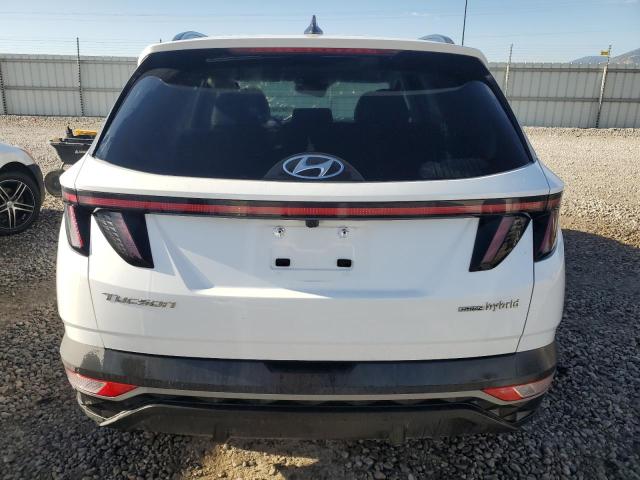 KM8JFCA14PU135668 - 2023 HYUNDAI TUCSON SEL CONVENIENCE WHITE photo 6