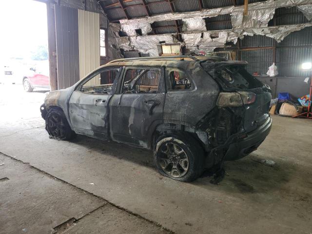 1C4PJMBX4KD455880 - 2019 JEEP CHEROKEE TRAILHAWK BLUE photo 2