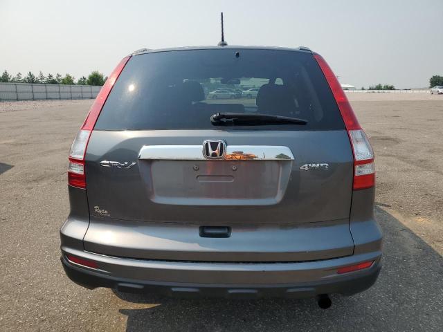 5J6RE4H72AL058462 - 2010 HONDA CR-V EXL GRAY photo 6