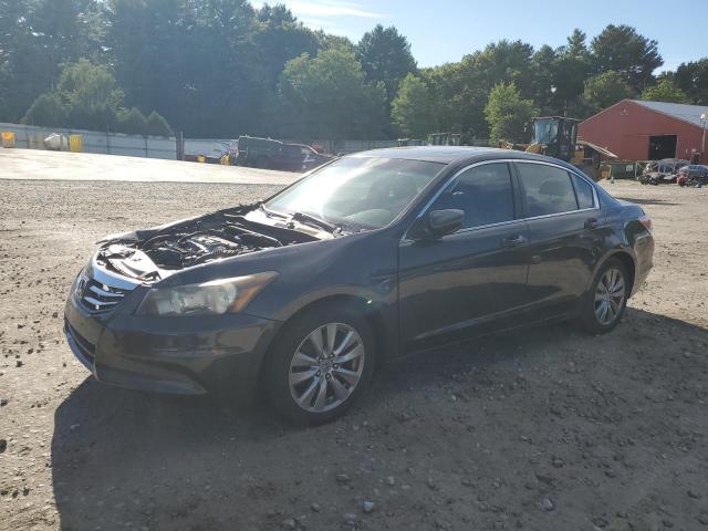 2011 HONDA ACCORD EXL, 