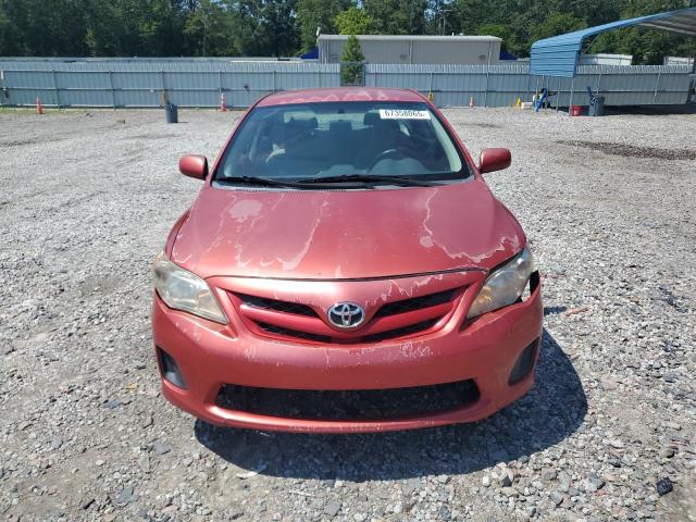 2T1BU4EEXCC897024 - 2012 TOYOTA COROLLA BASE წითელი ფოტო 5