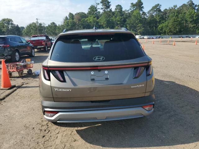 KM8JCDD11SU346488 - 2025 HYUNDAI TUCSON SEL CONVENIENCE 棕色 照片 6