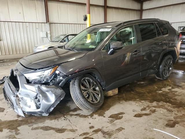 2025 TOYOTA RAV4 XLE PREMIUM, null