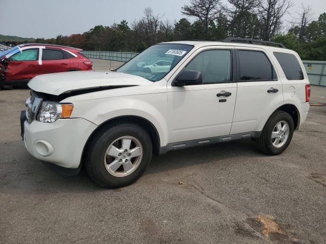 2011 FORD ESCAPE XLT, 
