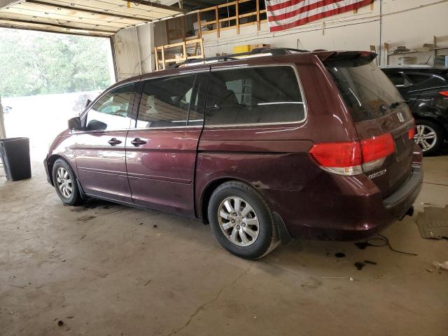 5FNRL3H73AB033739 - 2010 HONDA ODYSSEY EXL ბურგუნდია ფოტო 2