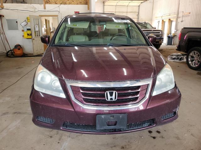 5FNRL3H73AB033739 - 2010 HONDA ODYSSEY EXL ბურგუნდია ფოტო 5