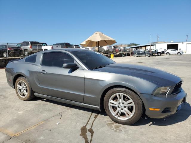 1ZVBP8AN7A5150699 - 2010 FORD MUSTANG GRAY photo 4