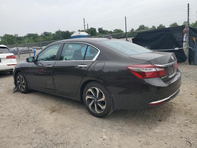 1HGCR2F96GA025074 - 2016 HONDA ACCORD EXL 棕色 照片 2