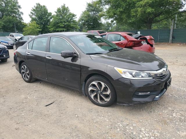 1HGCR2F96GA025074 - 2016 HONDA ACCORD EXL 棕色 照片 4