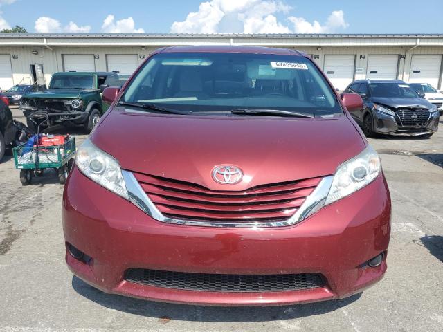 5TDKK3DC9FS604841 - 2015 TOYOTA SIENNA LE 勃艮第红 照片 5