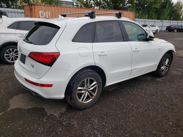 WA1MFCFP9EA087513 - 2014 AUDI Q5 PROGRESSIV WHITE photo 3
