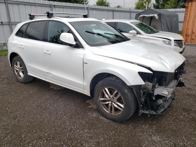 WA1MFCFP9EA087513 - 2014 AUDI Q5 PROGRESSIV WHITE photo 4