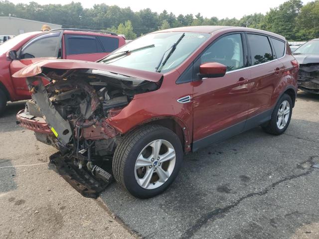 2014 FORD ESCAPE SE, 