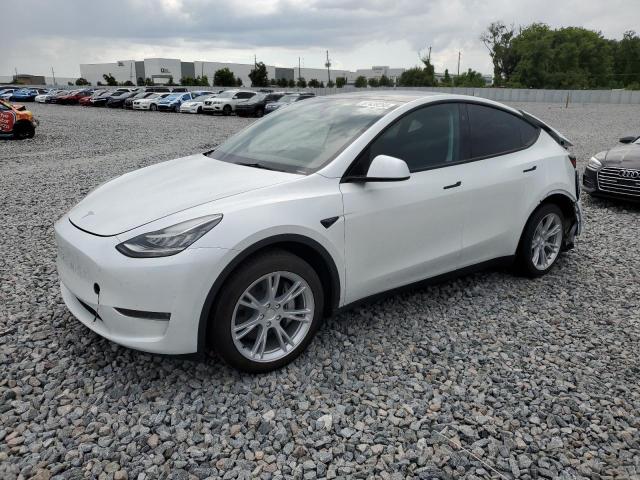 2023 TESLA MODEL Y, 