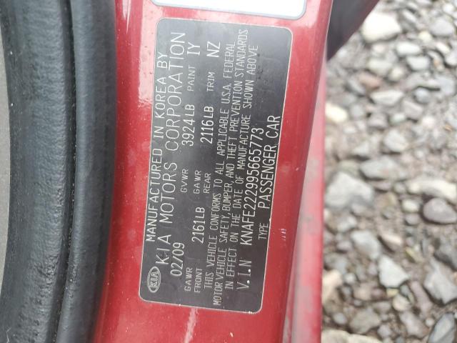 KNAFE222995665773 - 2009 KIA SPECTRA EX RED photo 13